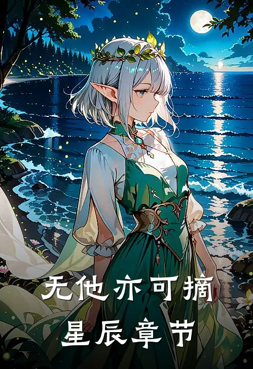 无他亦可摘星辰章节