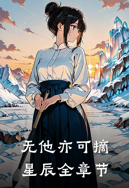 无他亦可摘星辰全章节