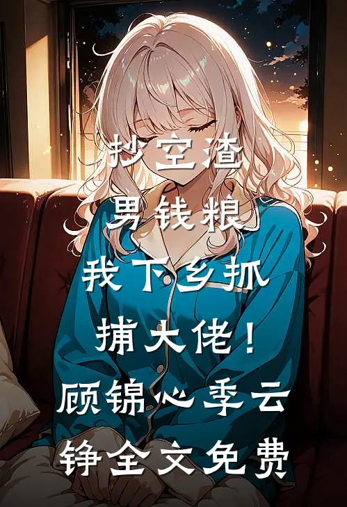 抄空渣男钱粮，我下乡抓捕大佬！顾锦心季云铮全文免费