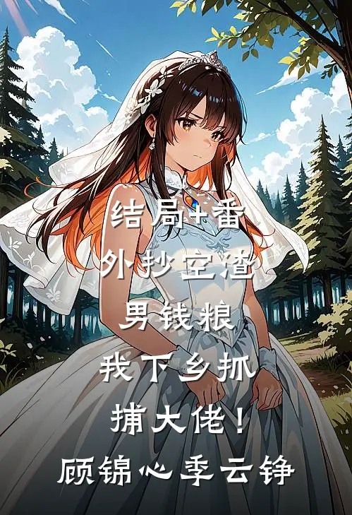 结局+番外抄空渣男钱粮，我下乡抓捕大佬！顾锦心季云铮