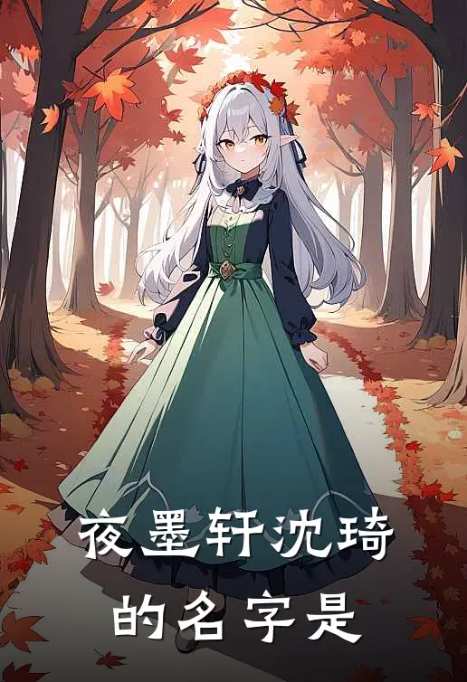 夜墨轩沈琦的名字是