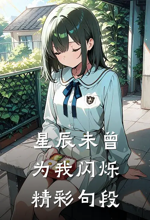 星辰未曾为我闪烁精彩句段