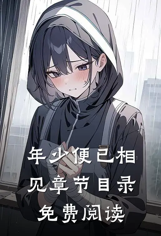 年少便已相见章节目录免费阅读
