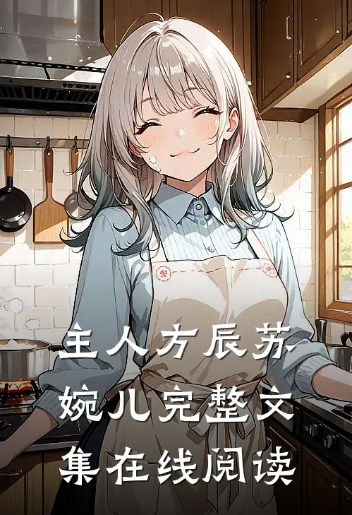 主人方辰苏婉儿完整文集在线阅读