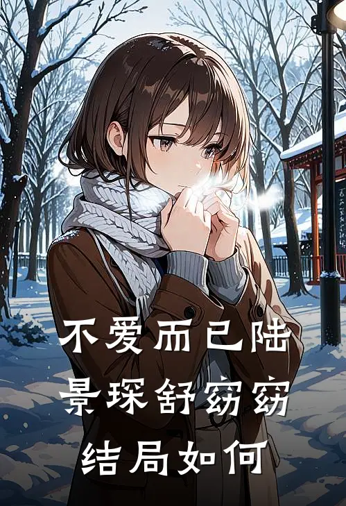 不爱而已陆景琛舒窈窈结局如何
