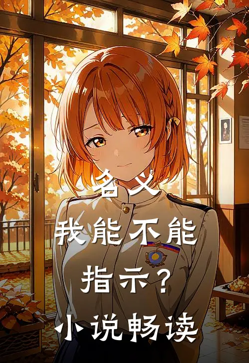 名义：我能不能指示？小说畅读