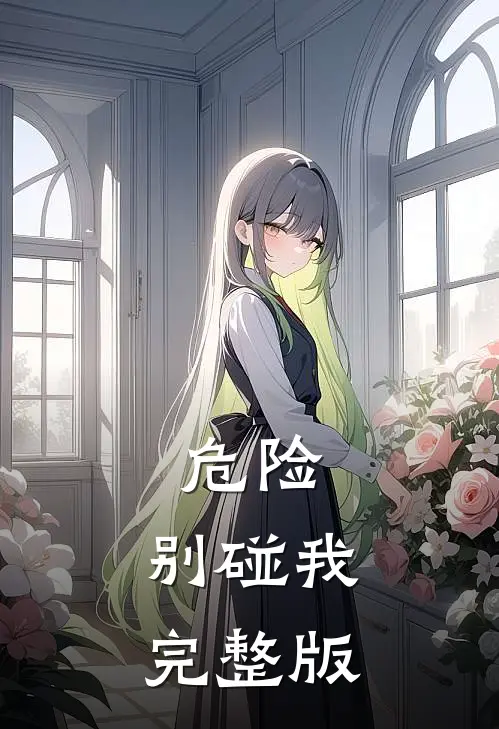 危险，别碰我完整版