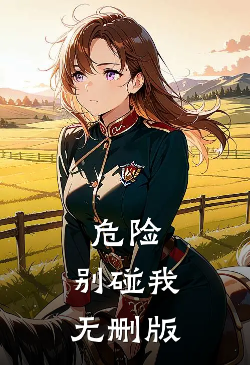 危险，别碰我无删版