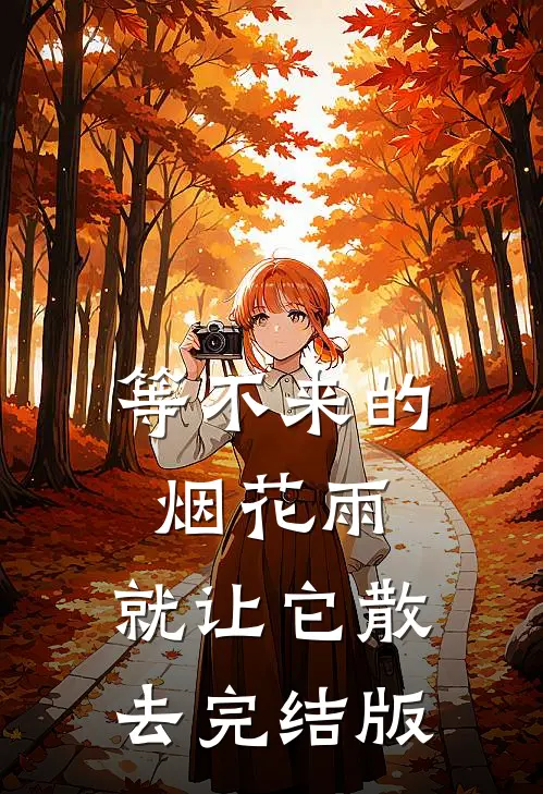 等不来的烟花雨，就让它散去完结版