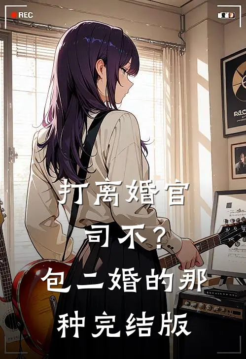 打离婚官司不？包二婚的那种完结版
