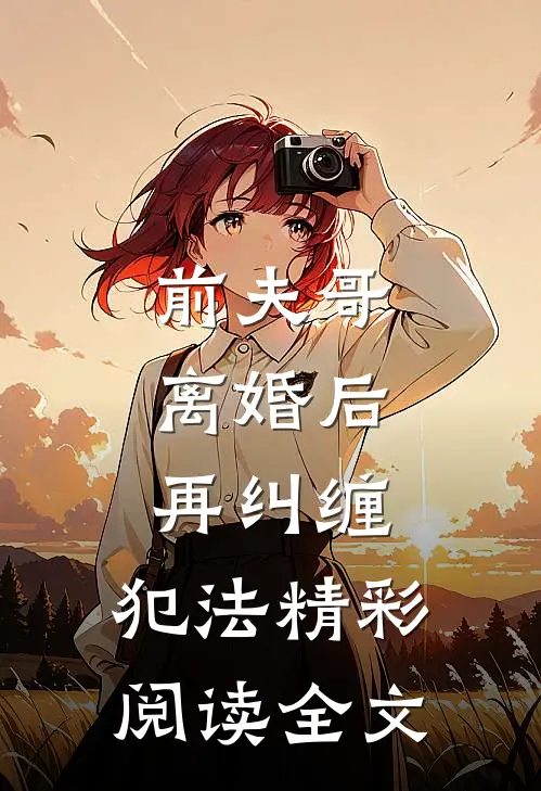 前夫哥，离婚后再纠缠，犯法精彩阅读全文