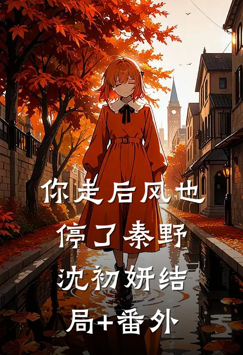 你走后风也停了秦野沈初妍结局+番外