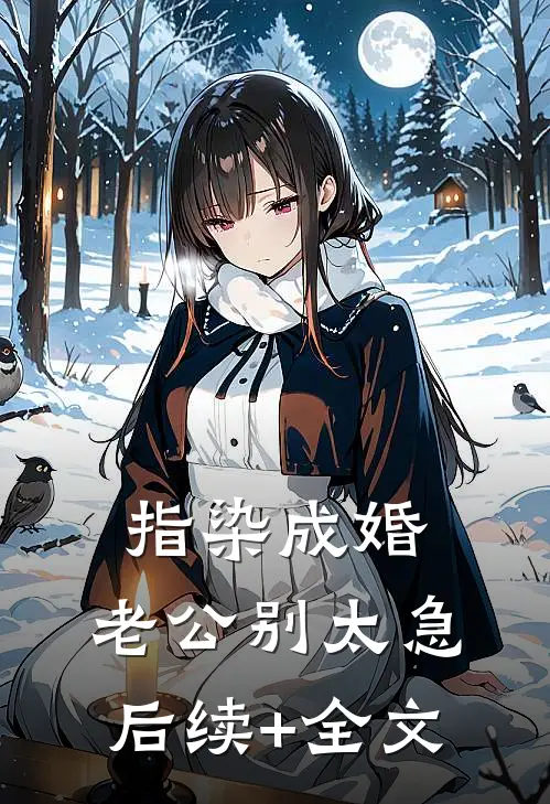 指染成婚，老公别太急后续+全文