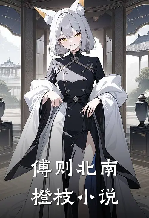 傅则北南橙枝小说