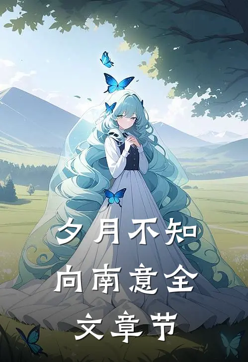 夕月不知向南意全文章节