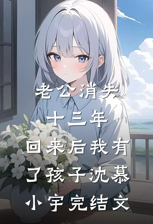 老公消失十三年，回来后我有了孩子沈慕小宇完结文