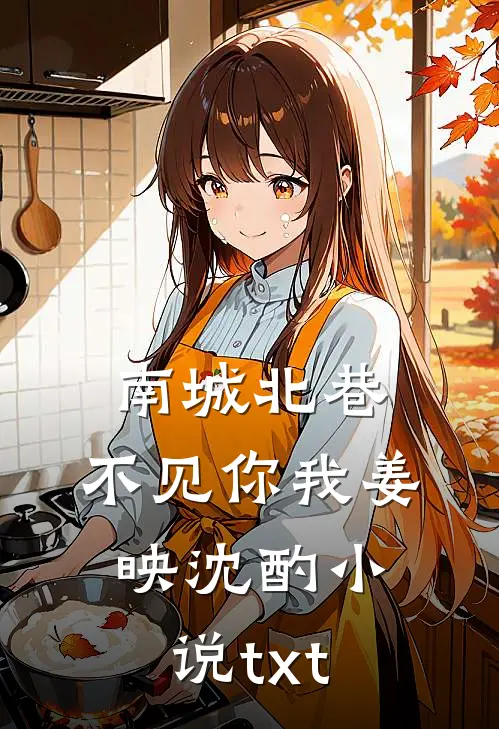 南城北巷，不见你我姜映沈酌小说txt