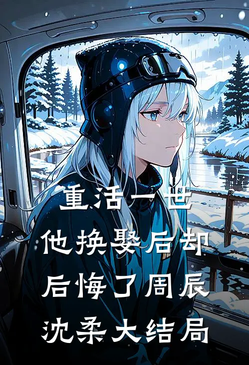 重活一世，他换娶后却后悔了周辰沈柔大结局