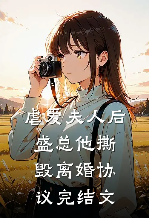 虐爱夫人后，盛总他撕毁离婚协议完结文