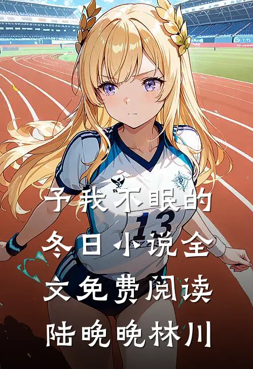 予我不眠的冬日小说全文免费阅读陆晚晚林川
