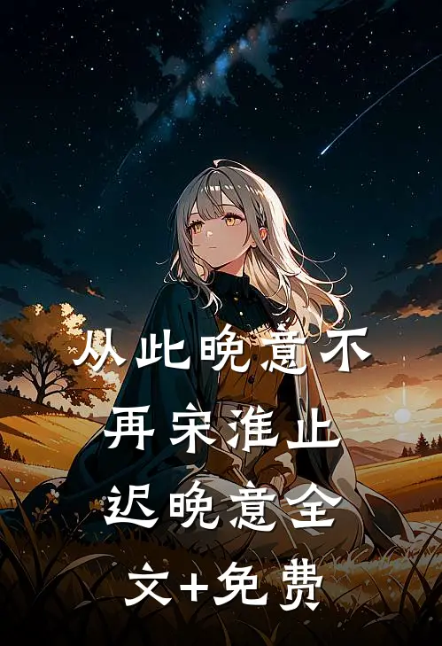 从此晚意不再宋淮止迟晚意全文+免费
