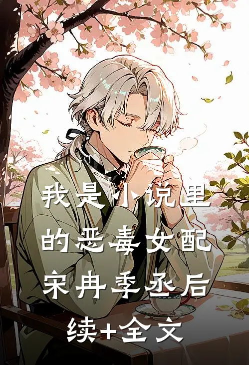 我是小说里的恶毒女配宋冉季丞后续+全文
