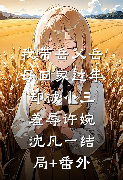 我带岳父岳母回家过年，却被小三羞辱许婉沈凡一结局+番外