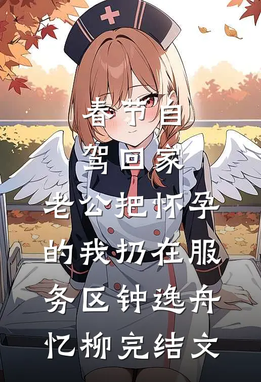 春节自驾回家，老公把怀孕的我扔在服务区钟逸舟忆柳完结文