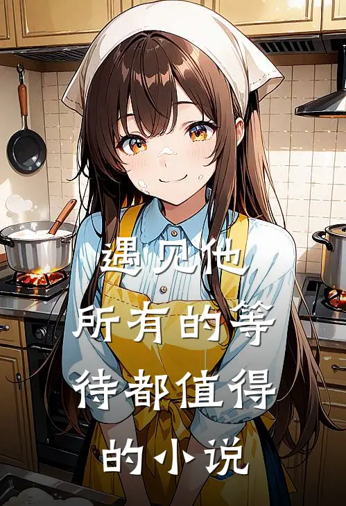 遇见他，所有的等待都值得的小说