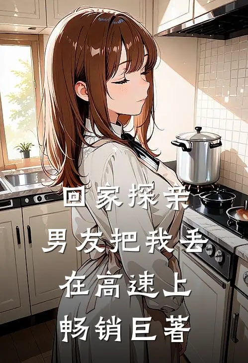 回家探亲，男友把我丢在高速上畅销巨著