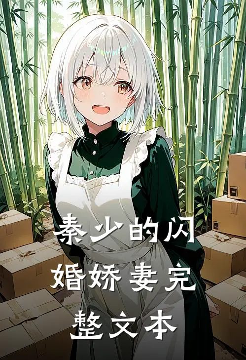秦少的闪婚娇妻完整文本阅读