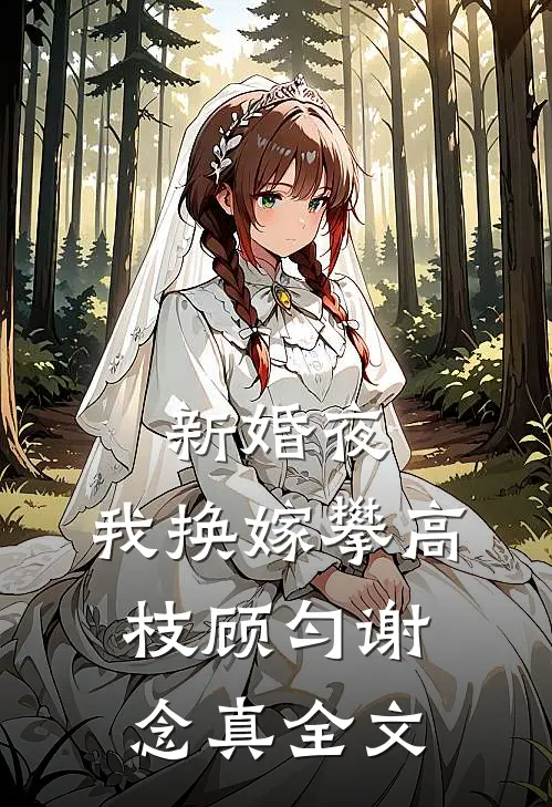 新婚夜，我换嫁攀高枝顾匀谢念真全文