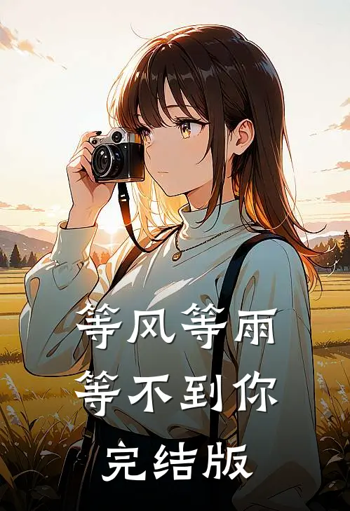 等风等雨等不到你完结版
