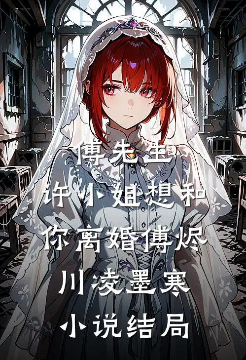 傅先生，许小姐想和你离婚傅烬川凌墨寒小说结局