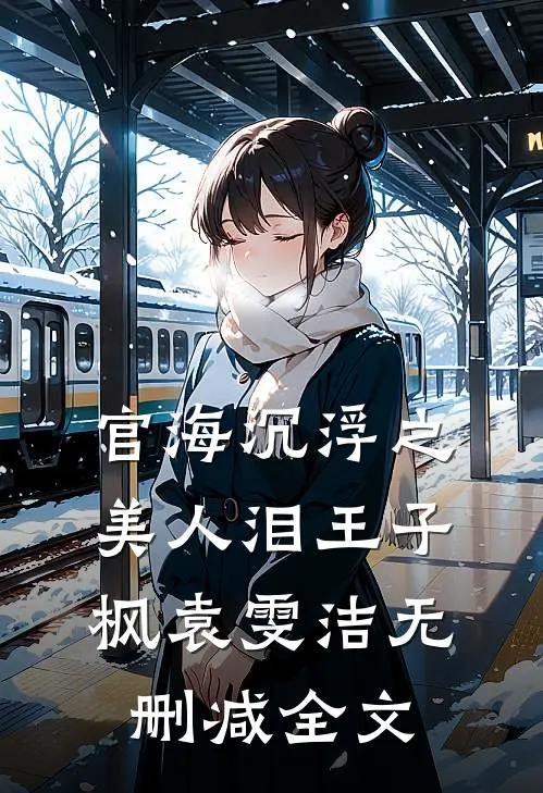 官海沉浮之美人泪王子枫袁雯洁无删减全文