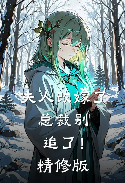 夫人改嫁了，总裁别追了！精修版