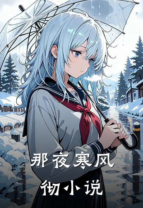那夜寒风彻小说