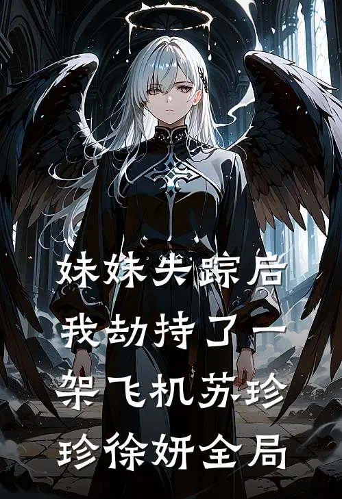 妹妹失踪后，我劫持了一架飞机苏珍珍徐妍全局