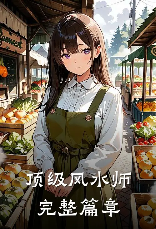 顶级风水师完整篇章