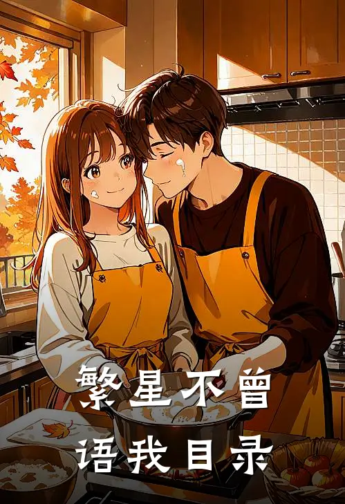 繁星不曾语我目录