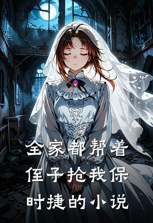 全家都帮着侄子抢我保时捷的小说